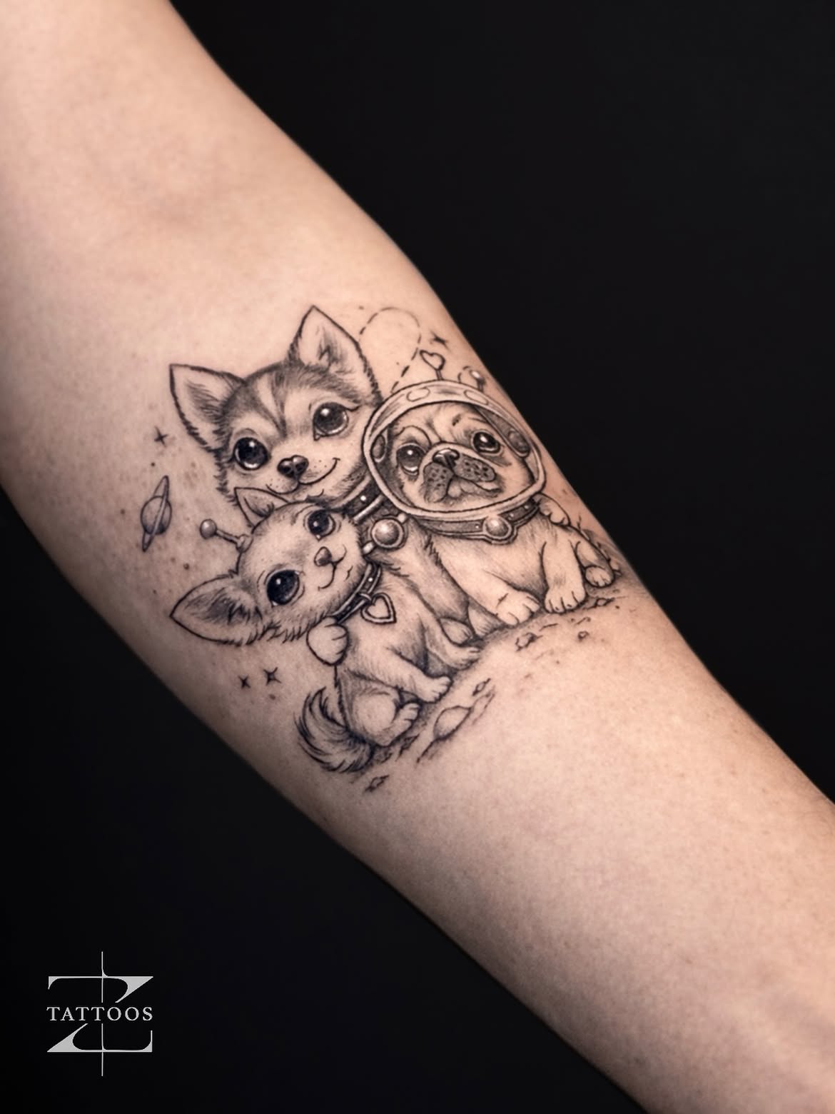 Fine-line black and grey portraits of Chihuahua, Husky, and Pug.